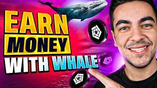 HOW TO TRACK WHALE WALLETS? | TRADE LIKE PROFFESIONALS