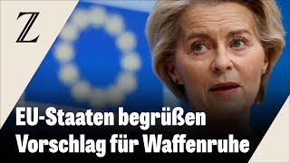 Ukraine akzeptiert US-Vorschlag für 30-tägige Waffenruhe