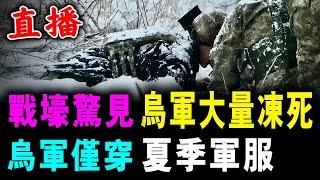 直播 戰壕驚見 烏軍大量凍死 烏軍僅穿 夏季軍服 / 新潮民 @SCM1.0