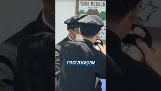 Котов Взяли на Работу в Поезда Японии