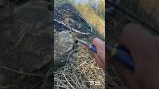 Leo Catch & Release a Turtle When Fishing For Carp!