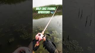 Wild Hooked! Epic Fish Hunting Adventure! #fishing