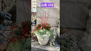 뉴욕시내서 초당골 맛집 가는길 #shorts #월드팬공식채널  #shortsvideo #shortsyoutube