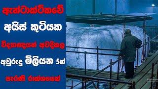 “Alien Hunter" සිංහල Movie Review | Ending Explained Sinhala | Sinhala Movie Review