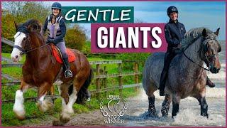 Gentle Giants | Award-Winning Film | Meet Amazing Draft Horses!