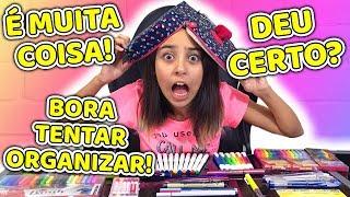 ORGANIZANDO MEU ESTOJO COM MATERIAL ESCOLAR RENOVADO | COISAS DA LUNA