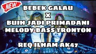 DJ BEBEK GALAU HARD X BUIH JADI PERMADANI !! MELODY BASS TRONTON !! JUNGLE DUTCH 202 REQ ILHAM AK47