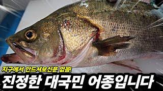 꾸준히 사랑 받고 있는, 맛나는 대국민 횟감