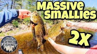 MASSIVE Smallmouth Bass Fishing  (Personal Best) - Northern Ontario 2021