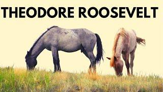 The Best of Theodore Roosevelt National Park: 17 things to do + Wild Horses & Medora, North Dakota