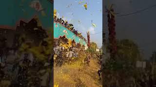 Vepakuppam Jallikattu _️