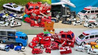 Police Car VS Fire Truck.  Each Car Looks for the Same Type of Diecast Cars【Kuma's Bear Kids】