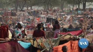 UNHCR: Chad Housing 55,000 Sudanese Refugees