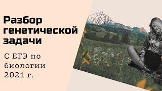 Реальные задания ЕГЭ по биологии 2021 года. Решаем генетическую задачу.