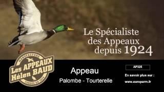 Appeau palombe - tourterelle - Helen Baud