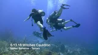 Seafari Bahamas Witches Cauldron Guide Tamaro