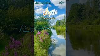 surah An Nisa| Ayat 41,42| Urdu translation|Ahkam E ilahi# AlQuran # Islam#viralshort