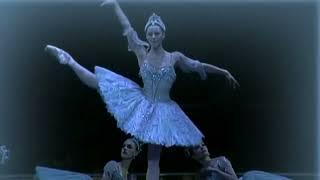  Ƹ̵̡Ӝ̵̨̄Ʒ  Blue Ballerina ~ Shoshana Michel