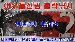 12.30 여수권 볼락낚시 2짜볼락이 나왔어요(대율,두문포포인트)