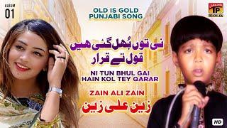 Ni Tun Bhul Gai Hain Kol Tey Qarar | Zain Ali | (Official Music Video) Tp Gold