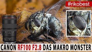 Unglaubliche Makro-Fotos, fotografieren mit dem Canon RF100 f2.8 IS USM 1,4:1 Makro - Review / Test