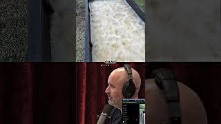 Joe Rogan Loves Deep Frying Videos