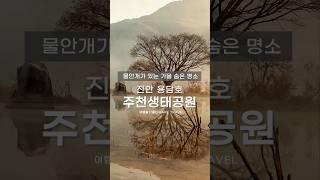 가을을 만끽하기 좋은 여행지 - 물안개와 호수의 반영이 아름다운 가을 숨은 명소 진안 주천생태공원 #진안여행 #물안개 #주천생태공원