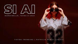 Tayna - Si Ai (Marshmello & UKAY Remix) Lyrics | Tiktok Trending