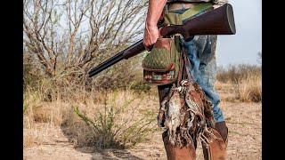 Texas Quail Hunt at Reserve Ranch