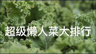 Super easy to plant vegetables。