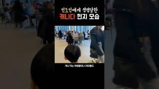 인도에게 점령당한 캐나다? 실제 모습