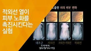 적외선 열이 피부 노화를 촉진시킨다는 실험 - (2016.9.7_592회 방송)_100세 청춘시대, 젊은 피부로 사는 법