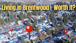 Brentwood NW Calgary Real Estate: Why It’s One of the BEST Communities