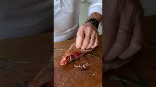 How to Canoe Fish - Ratatouille Stuffed Red Mullet  #chef #fish