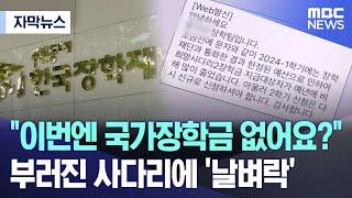 [자막뉴스] "이번엔 국가장학금 없어요?" 부러진 사다리에 '날벼락' (MBC뉴스)