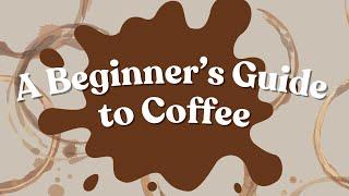 A Beginner’s Guide to Coffee