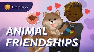 Community Ecology: Interspecies Interactions: Crash Course Biology #6