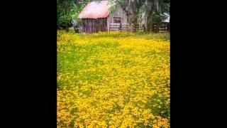 David R. Hawkins - Virtues: The Spiritual Foundation