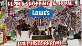 Plant Shopping at Lowe's Big Box Store || FULLY STOCKED || FULL GARDEN CENTER TOUR