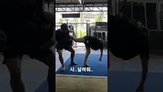 태국에서 무에타이 미트치기 당황스럽네ㄲㅋㄱ#무에타이#sasiprapa#사시프라파#태국#일산#터보짐