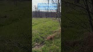 "Unearthing Secrets: Journey Through the Mysterious Cossack Graveyards of Khortytsia Island!"