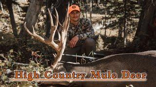 HIGH COUNTRY MULE DEER HUNT WYOMING | “Hindsight”