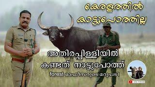 There is no wild buffalo in Kerala Malakappara was discovered by a buffalo Vazhachal forest trekking | 4K