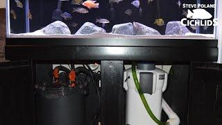 90g African Cichlid Aquarium - Equipment Walkthrough