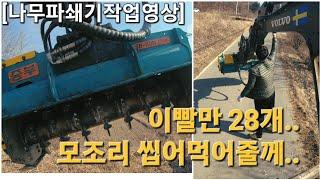 [굴삭기나무파쇄기] 나무만 갈아먹는 28개의 하독스이빨 work video