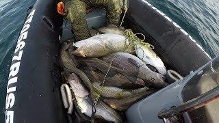 Удачная рыбалка в Баренцевом море / Successful fishing in the Barents sea