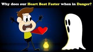 Why does our Heart beat Faster when in Danger? + more videos | #aumsum #kids #education #children