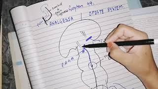 Analgesia System (Pain suppression) / Opiates system Guyton 49 #neurophysiology