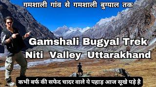 गमशाली गांव से Gamshali Bugyal Trek | कभी बर्फ की सफेद चादर वाले ये पहाड़ आज सूखे पड़े | Niti Valley