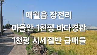 제주시 애월읍 장전리 마을안 1천평 바다경관 ㄱ메획관리 1천평 시세절반 급매물010 4436 0401 제주도부동산 토지 매매  급매물